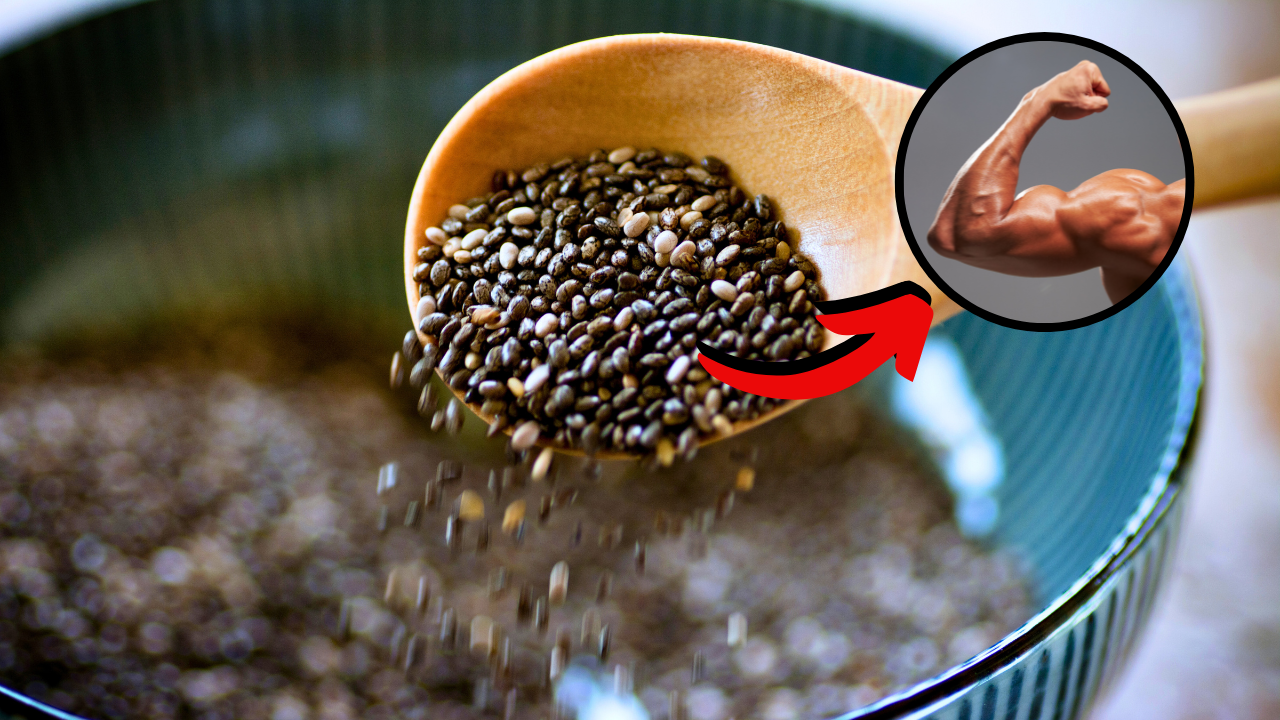 seeds building muscle